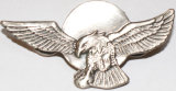 Eagle Shape Badge