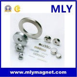 Permanent Rare Earth Neodymium Magnet (M094)