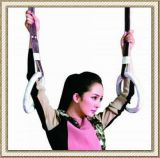 2013 Gym Ring Gymnastics Rings & Straps Strength Training (CL-FT01)