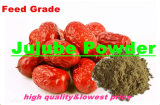 Jujube Powder for Animal Feed with Lowest Price