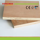 12mm Good Quality Waterproof Plywood