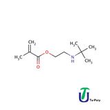 Tert Butylaminoethyl Methacrylate