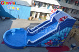 Water Slide with Pool Inflatable Chsl380