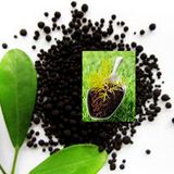 Seawees Biobacterial Organic Mixed Fertilizer