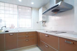 UV Lacquer Kitchen Cabinet (AUV-002)