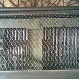 Hexagonal Wire Mesh (QG-ZC)