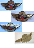 Fly Pin/Pin Badge, Metal Badge (LH-1236)