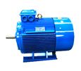 Ye3 IP54 Electric Motor