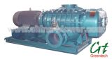 Two-Lobes Roots Blower (vacuum pump)
