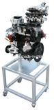 Vechile Engine Teaching Aids Automobile Training Equipment