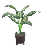 Artificial Plants Potted