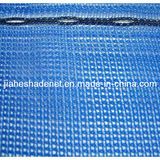 Scaffold Net