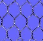 Hexagonal Wire Mesh