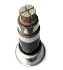 Metallic Shielded Power Cable (XS005)