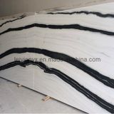 China Polished Big Slab and Tile Zebra Marble