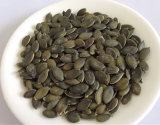 Pumpkin Seeds Kernel with Good Quality and Hot Sales