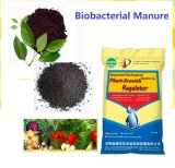 Algae Bio-Organic Manure--with Plant Growth Hormone