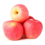Best Price & High Quality---2014 Fresh FUJI Apple