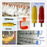 Automatic Poultry Equipment for Chicken Breeding Shed