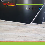 Film Faced Plywood Price From Factory Directly