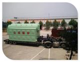 Wood Fired Steam Boiler Manufacturer