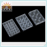 10 Wells Plastic Cell Culture Plate (LJ-MS-76)
