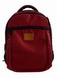 Casual Laptop Backpack Notebook Bag School Bag (SB6420)