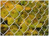 Hook Wire Mesh