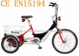 LiFePO4 Battery Electric Tricycle (SL-005)