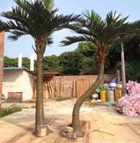 Indoor Decoration 10f Fiber Glass Artificial Coconut Tree