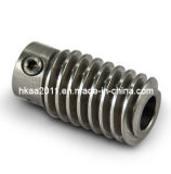 Precision Anti-Backlash Stainless Steel Worm Gear, Steel Worms