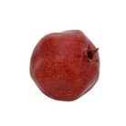 Artificial Fruits-Pomegranate