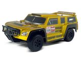 New 18cc 2.4GHz RC Petrol Truck