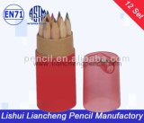 China Office Supplier Wooden Paint Color Pencil with Pencil Sharpener in Tube