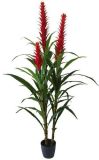 Artificial Plants and Flowers of Pineapple Flowers Gu-Lj-57L-3f