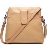 Fashion Bag Ladies Handbag Genuine Leather Handbags Designer Handbags (S904-A3816)