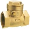 Die Casting Brass Hardware