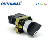 2 Position Momentary 12V Position Switch