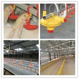 Automatic Poultry Drinking Equipment for Chicken