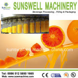 Beverage Manufacture Plant/Fruit Juice Filling Machinery for Pulp