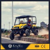 5000W Electric UTV EEC