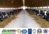 2015 Sbs Prefabricated Steel Structure Animal Husbandry Building