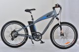 Lithium36V350W Mountain Electric Bicycle