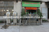 2000 L/H Commercial Alkaline Dual-Pass Reverse Osmosis Water Machinery