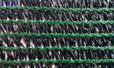 Green Shade Net (HYY-SN008)