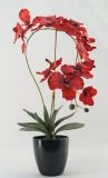 Artificial Butterfly Orchid with Melamine Pot