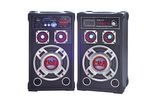 2.0 Professional Active Speaker P-91