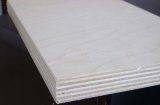 Birch Core Plywood with Good Quality
