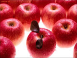 2014 Sweet FUJI Apples (High Quality&Best Price)