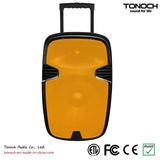 Fashionable Active Speaker Box for Model En15ub